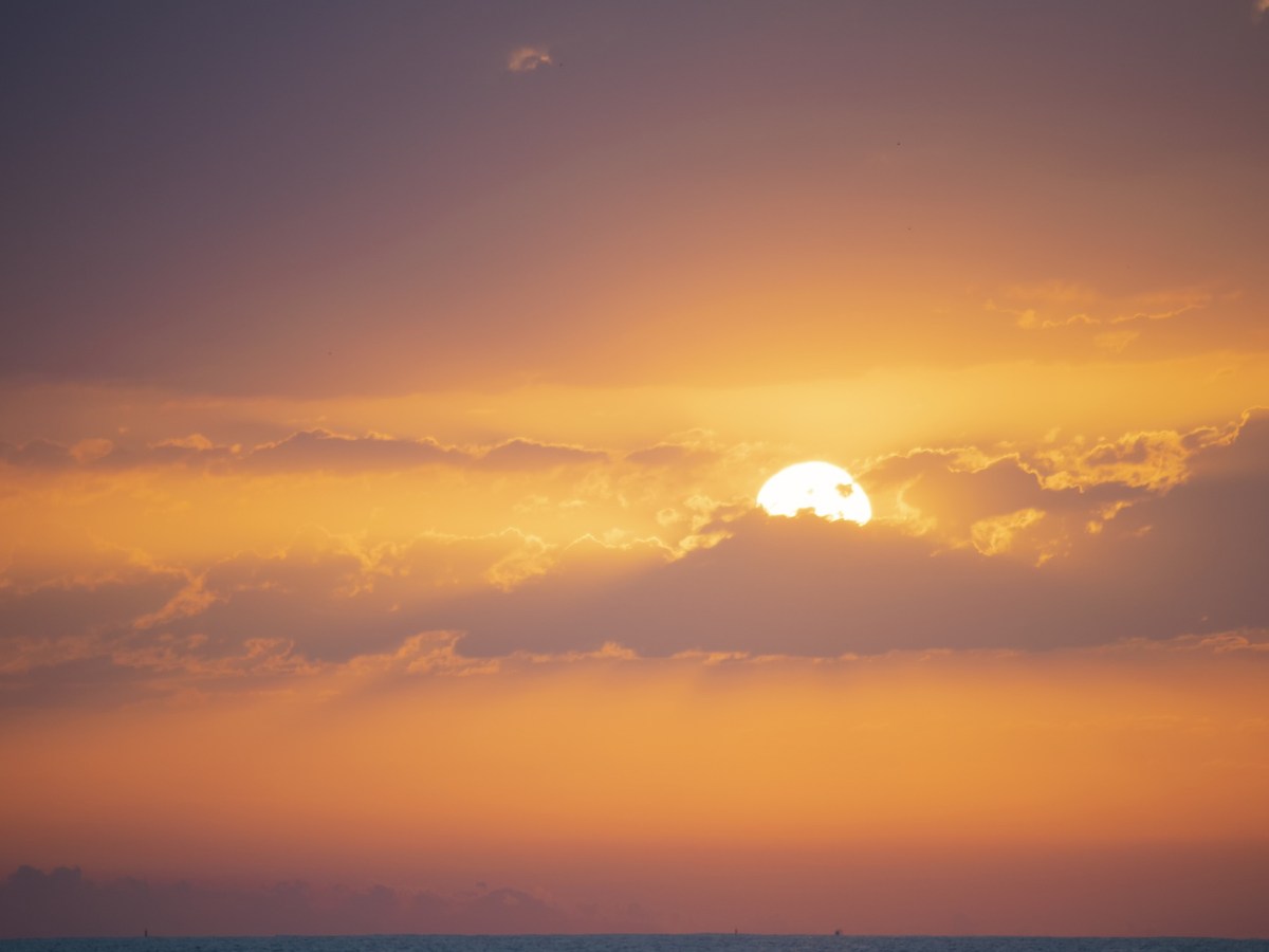 WA again – another record&nbsp;84%